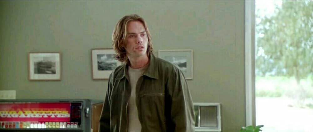 ワイルド・ストレンジャーの画像