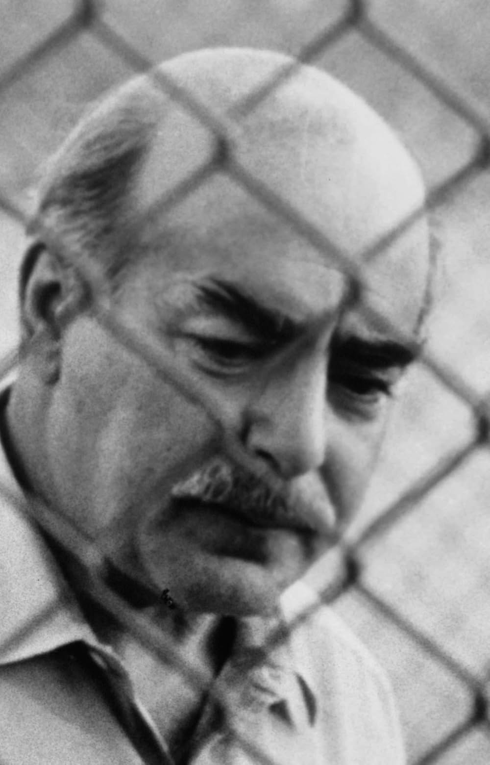 ゴッドファーザーPART Ⅱの画像