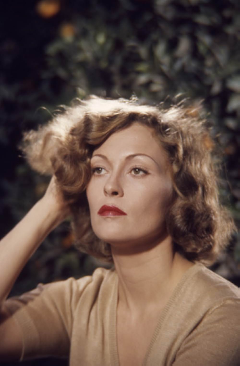 チャイナタウンの画像