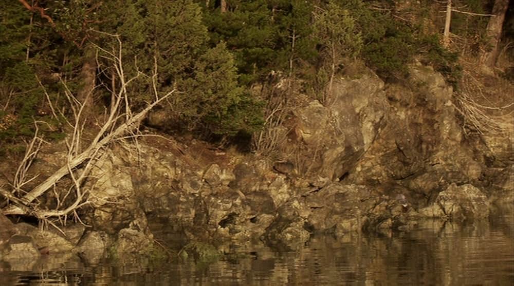 ラブ・トライアングルの画像