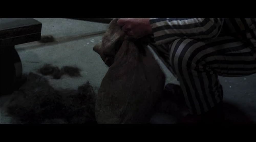 アウシュビッツ ホロコーストガス室の戦慄の画像