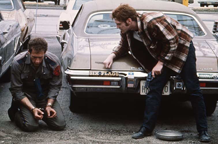 続・激突!カージャックの画像