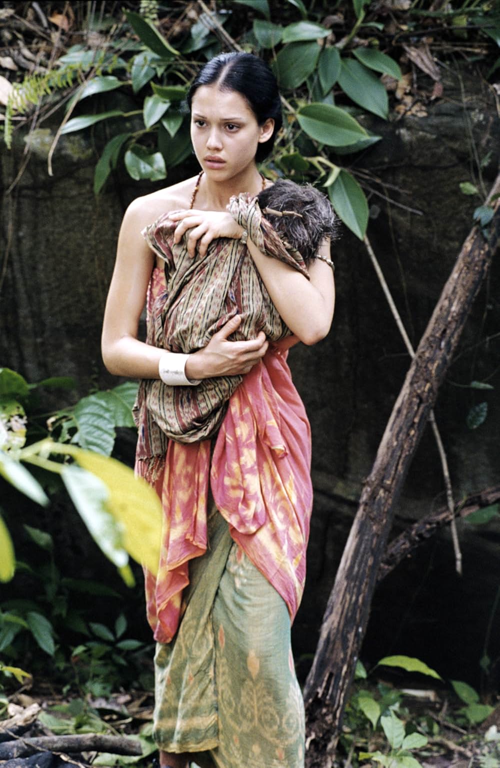 スリーピング・ディクショナリーの画像