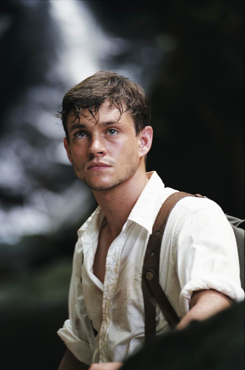 スリーピング・ディクショナリーの画像