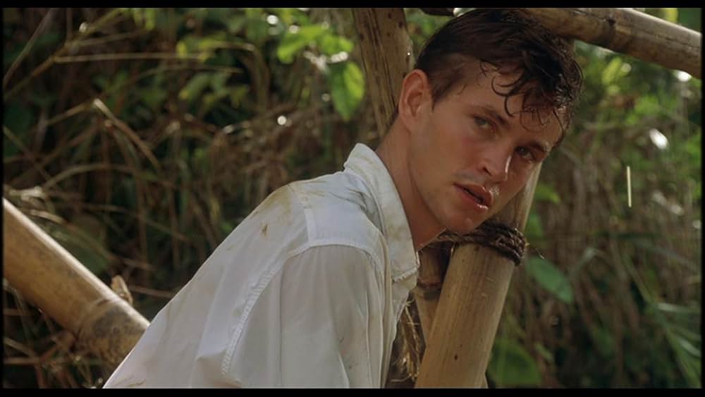 スリーピング・ディクショナリーの画像