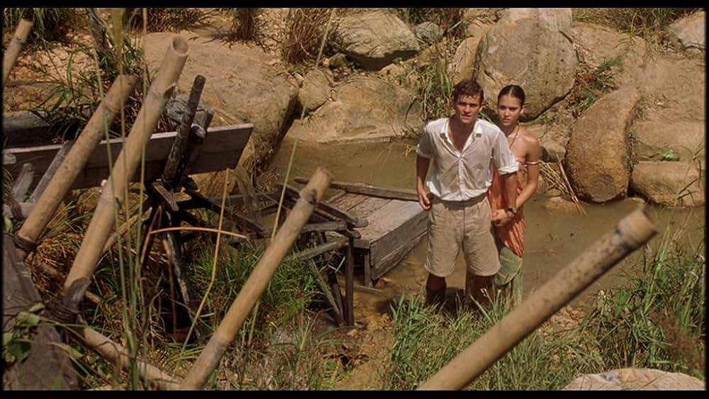 スリーピング・ディクショナリーの画像