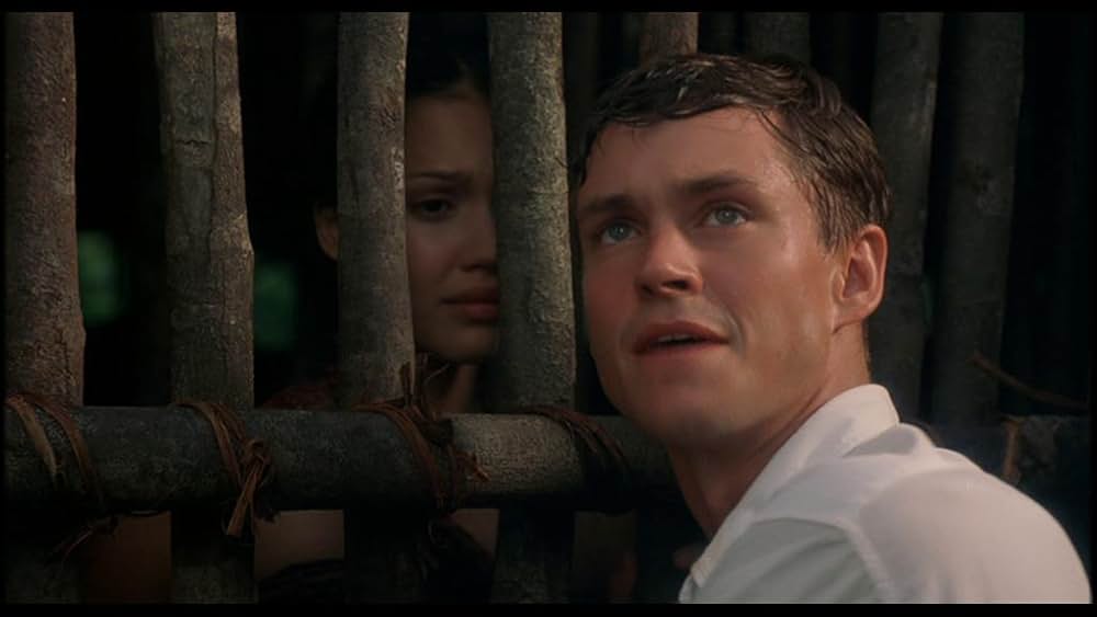 スリーピング・ディクショナリーの画像