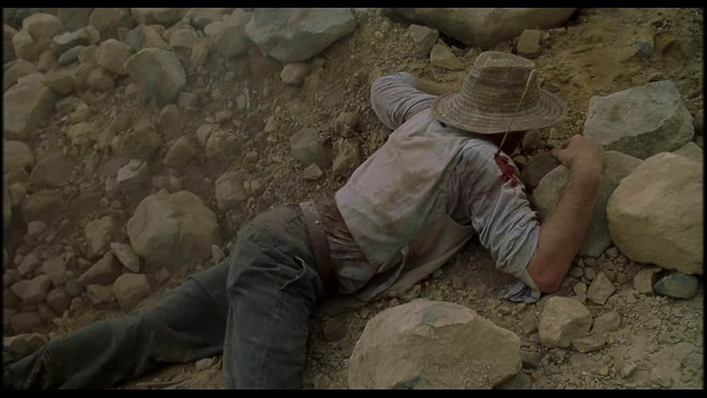 スリーピング・ディクショナリーの画像