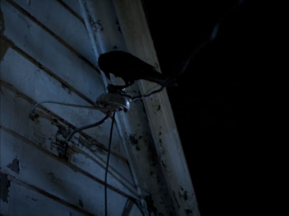 「新・鳥」の画像