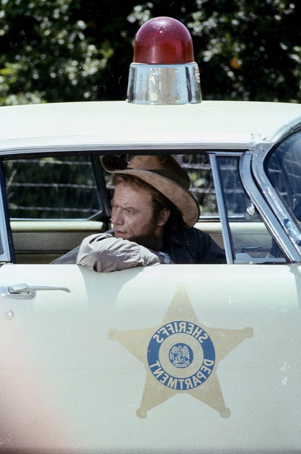 カリフォルニア・キッドの画像