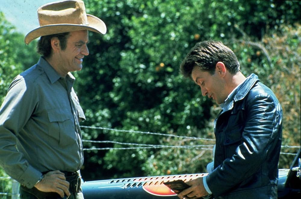 カリフォルニア・キッドの画像