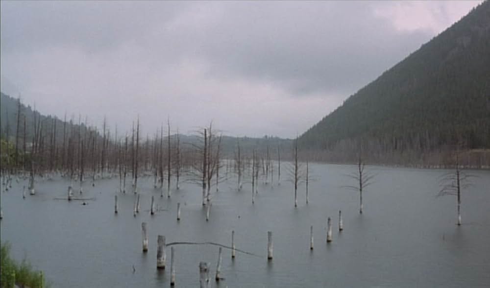 ガラスの心の画像