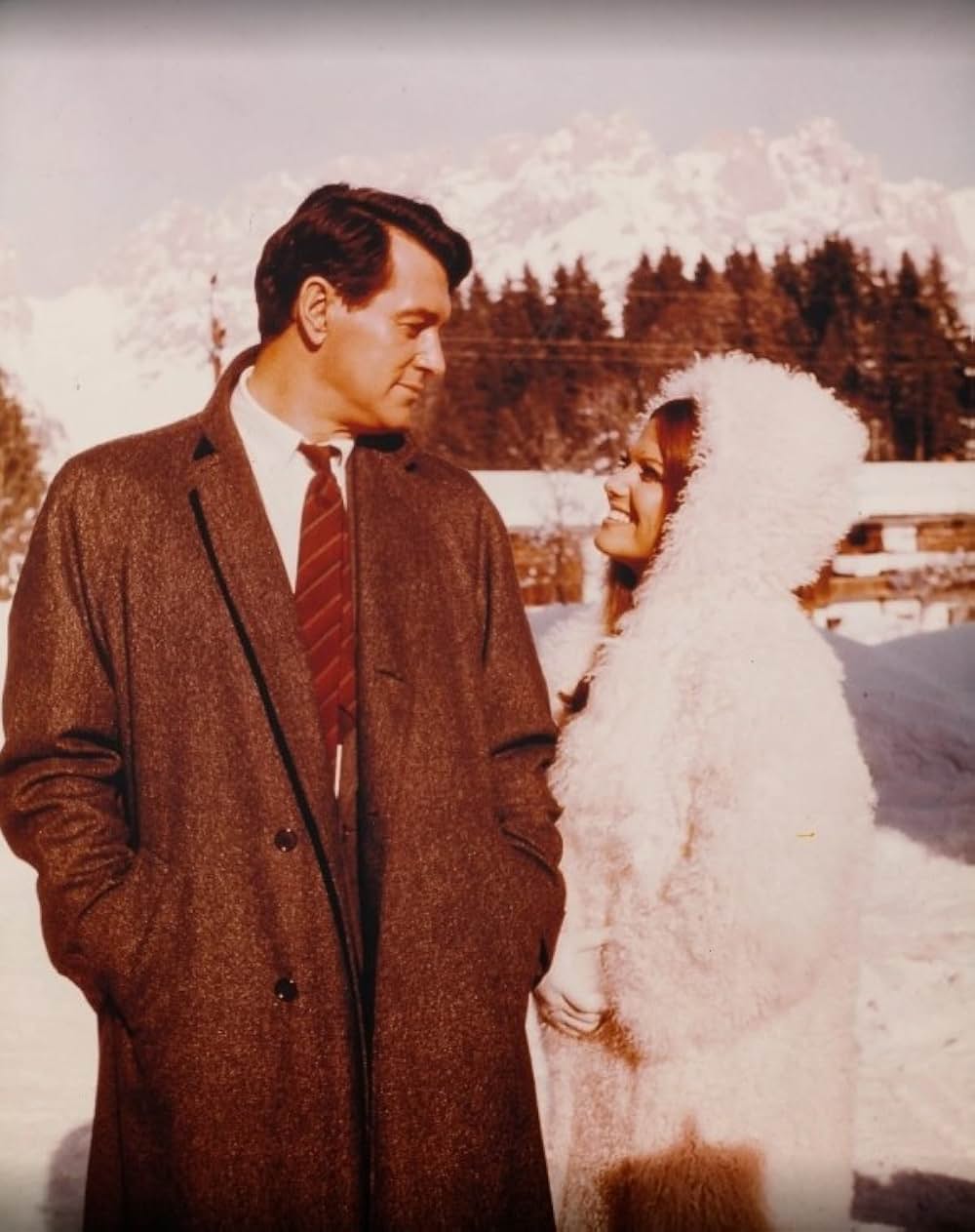 恋人泥棒の画像