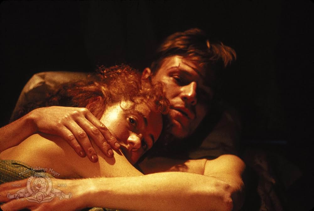 ザ・フィールドの画像