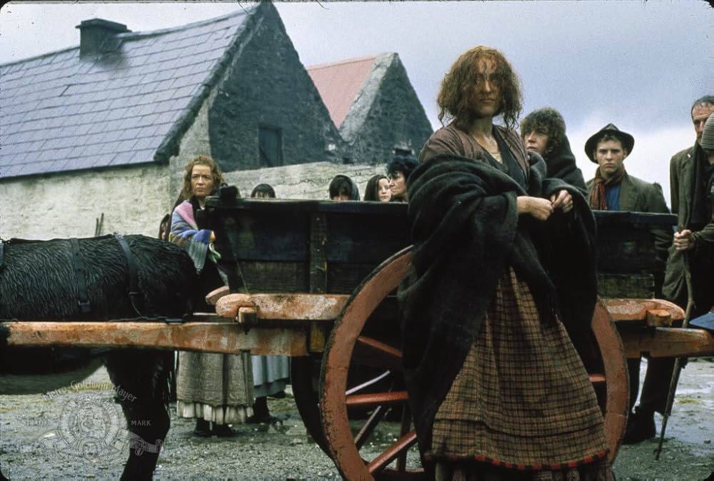 ザ・フィールドの画像