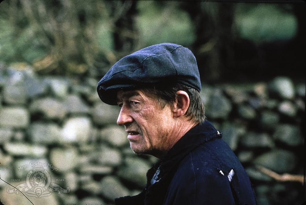 ザ・フィールドの画像