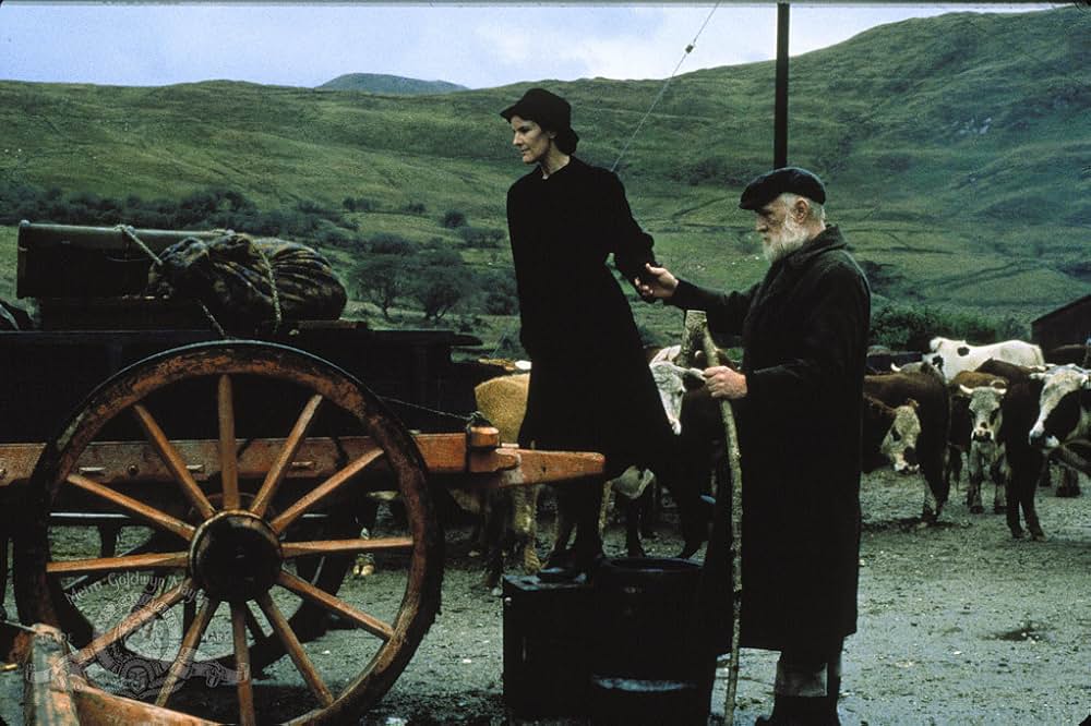 ザ・フィールドの画像