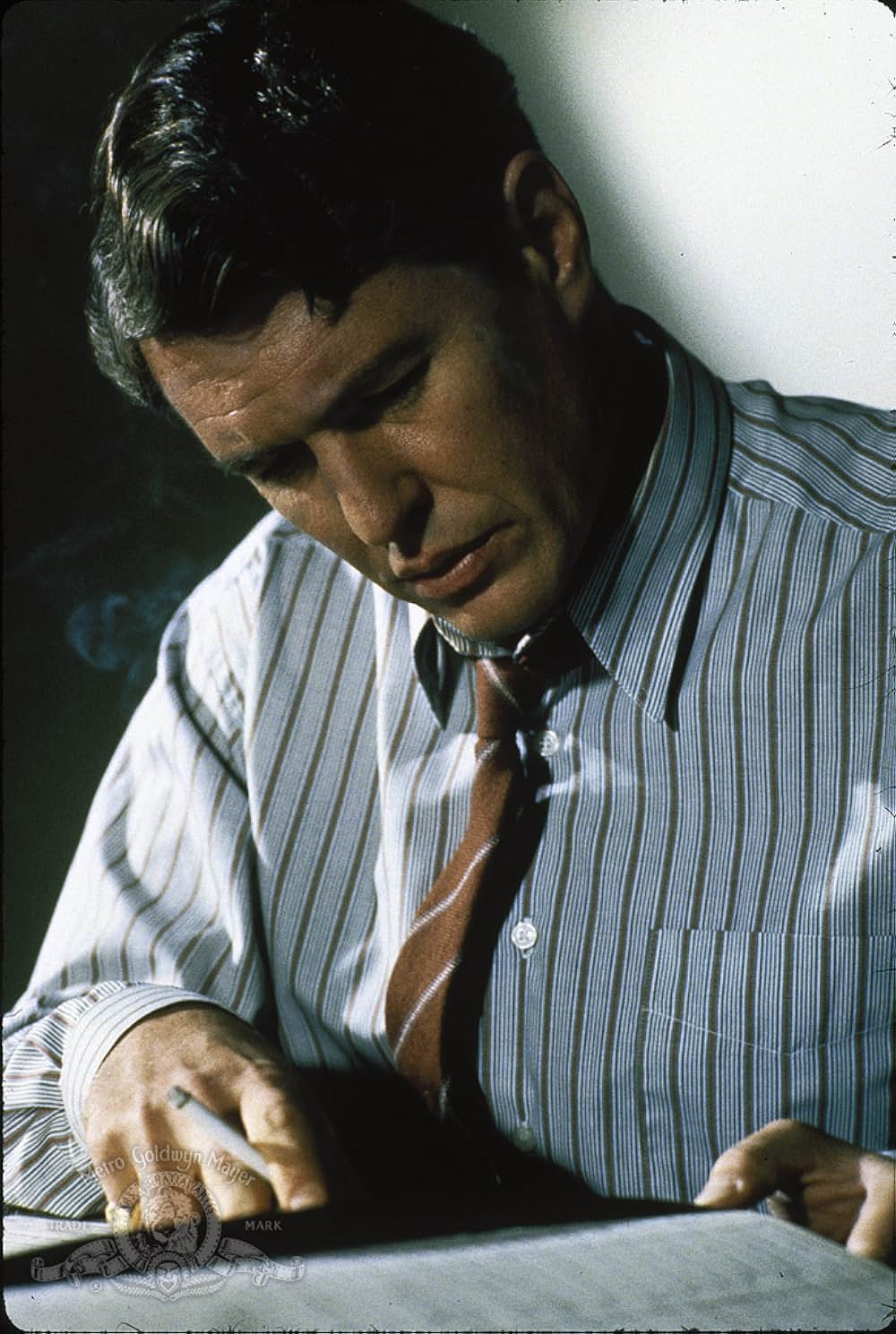 ザ・フィールドの画像