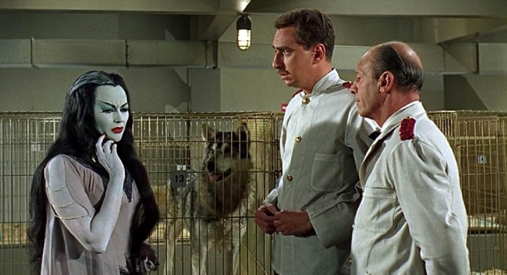 怪物家族大暴れの画像