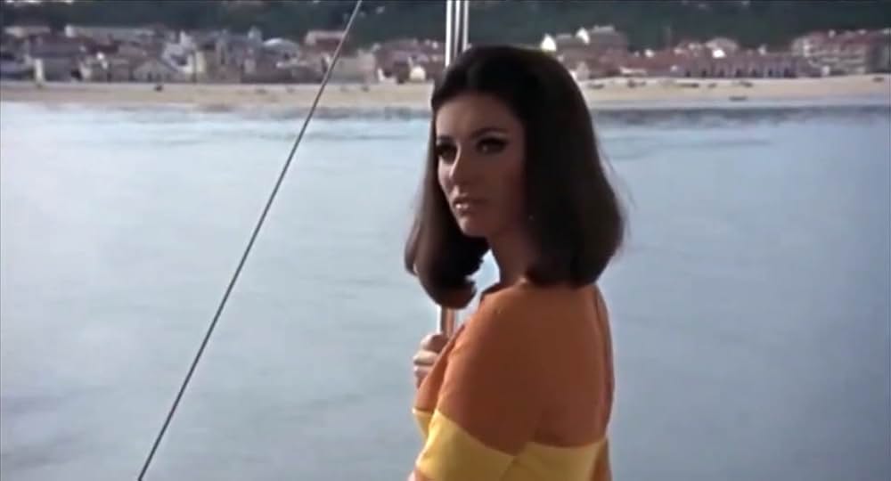 ハマーヘッドの画像