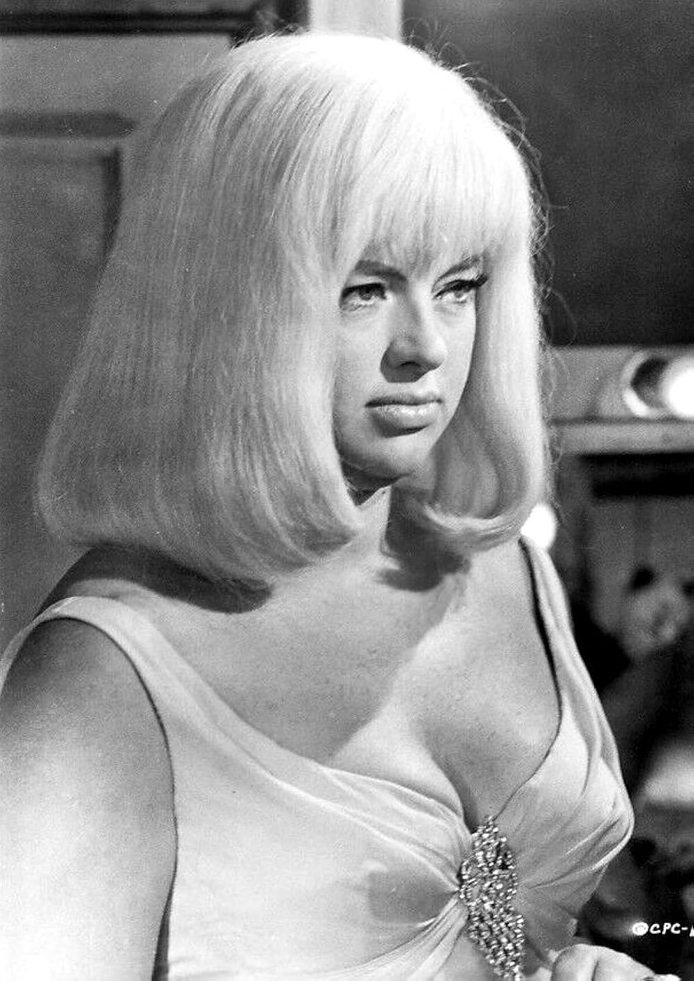 ハマーヘッドの画像