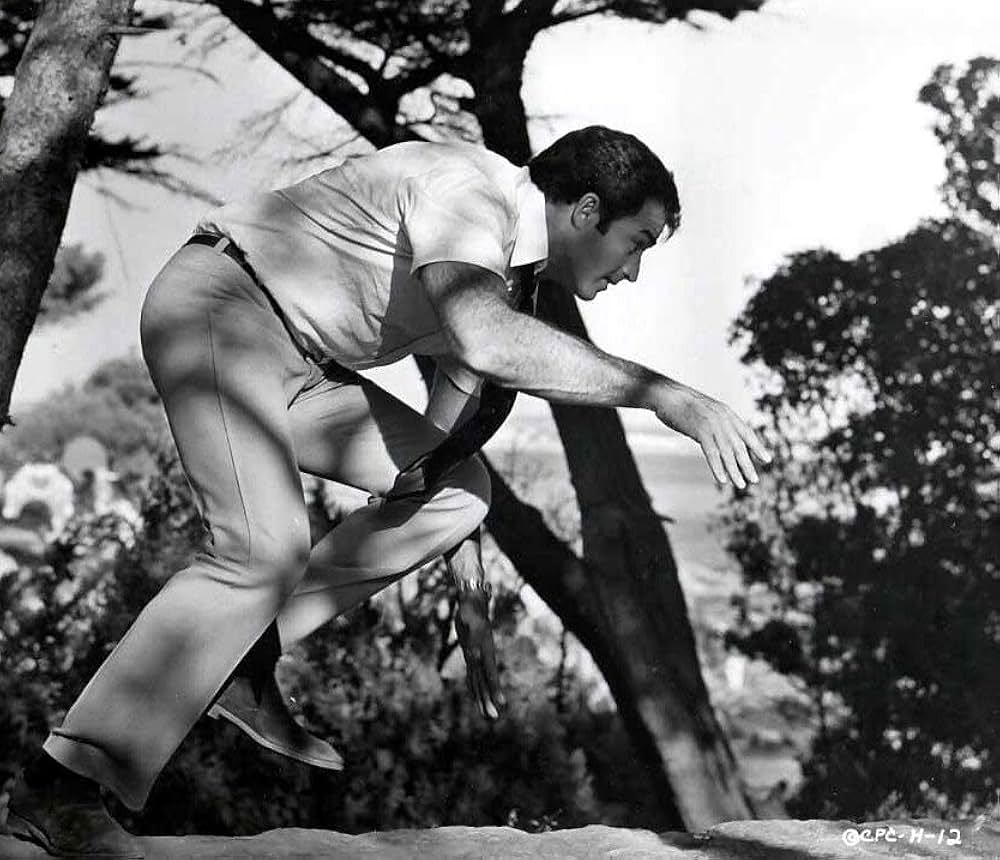 ハマーヘッドの画像