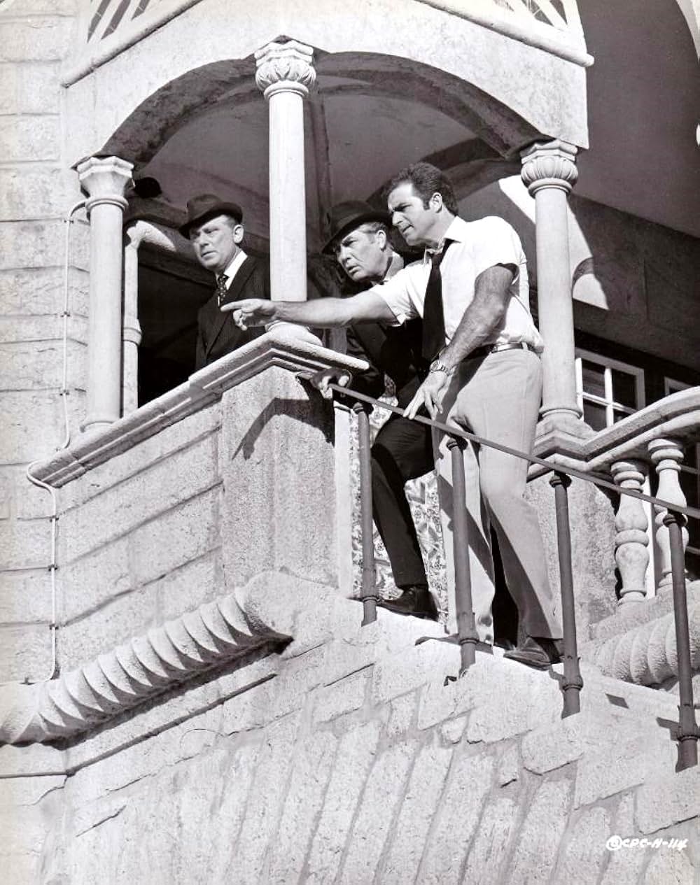 ハマーヘッドの画像