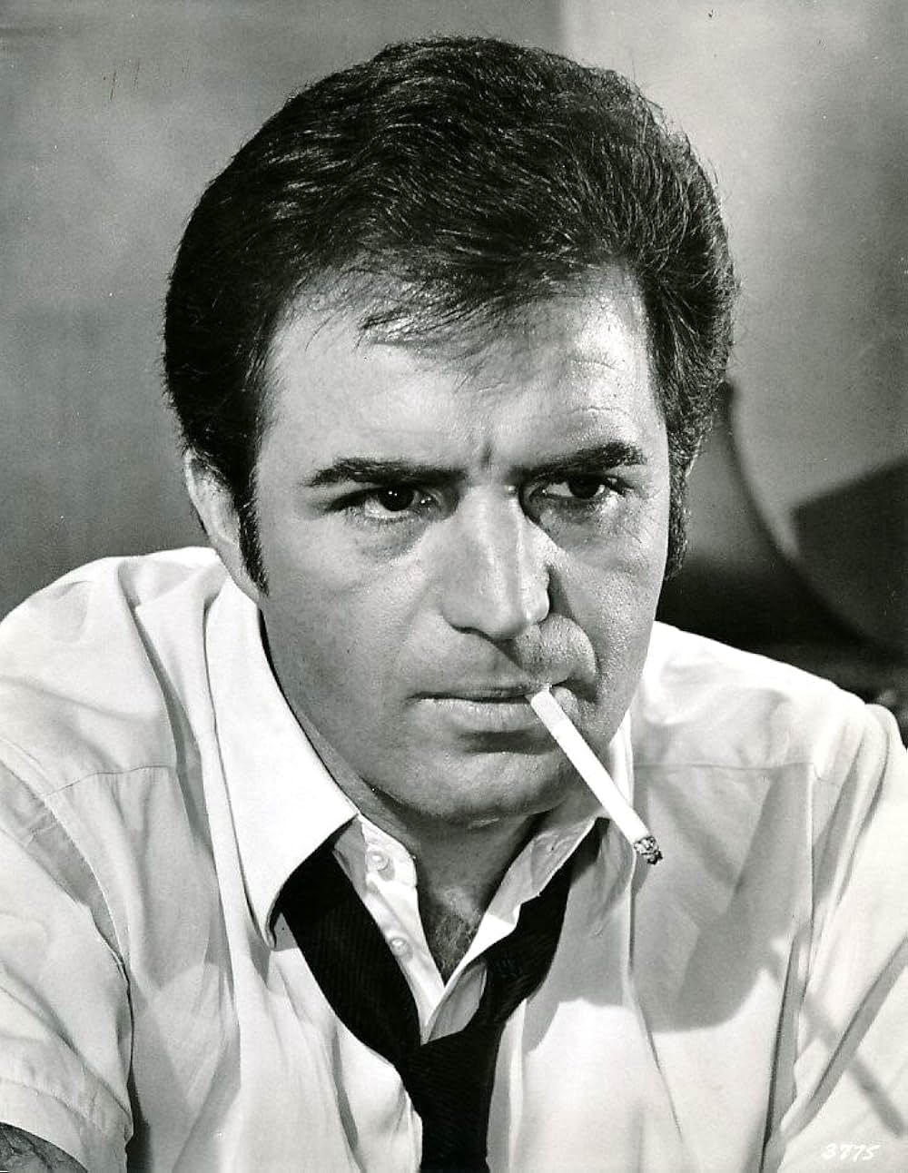 ハマーヘッドの画像