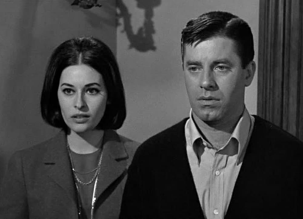 底抜けいいカモの画像