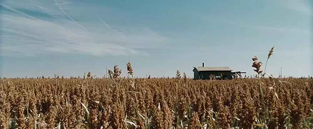 あの日、欲望の大地での画像