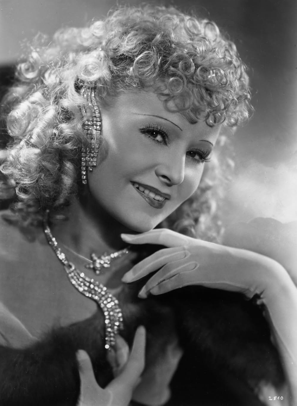 ブラックローズの画像