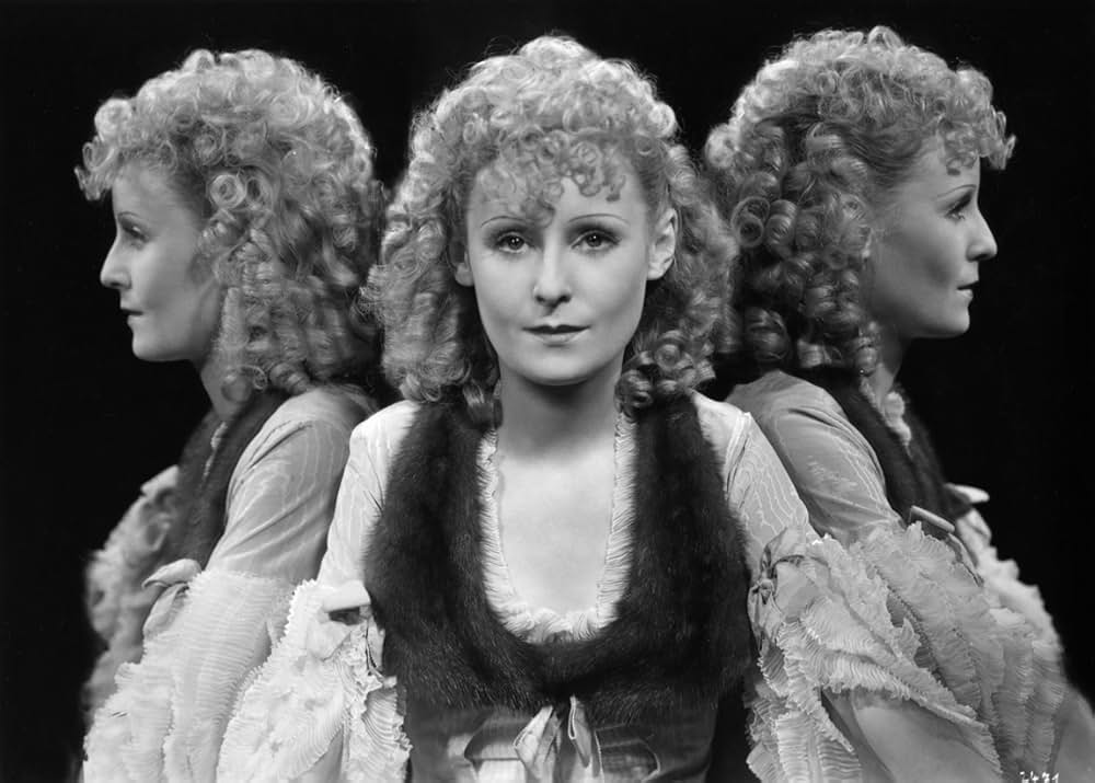 ブラックローズの画像