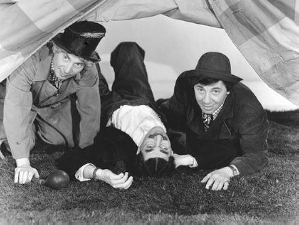 マルクス兄弟珍サーカスの画像