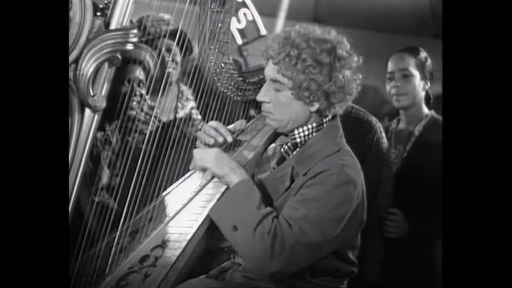 マルクス兄弟珍サーカスの画像