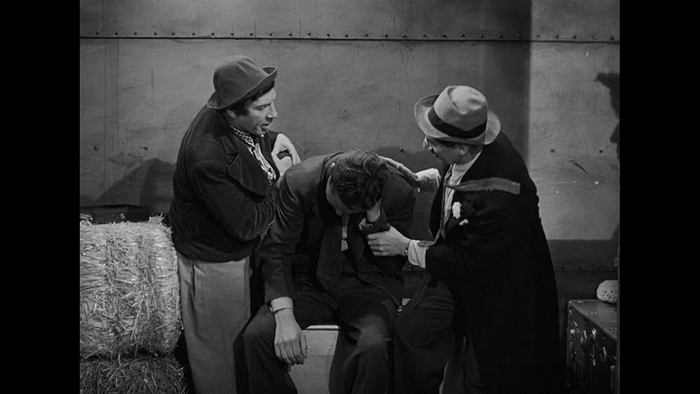 マルクス兄弟珍サーカスの画像