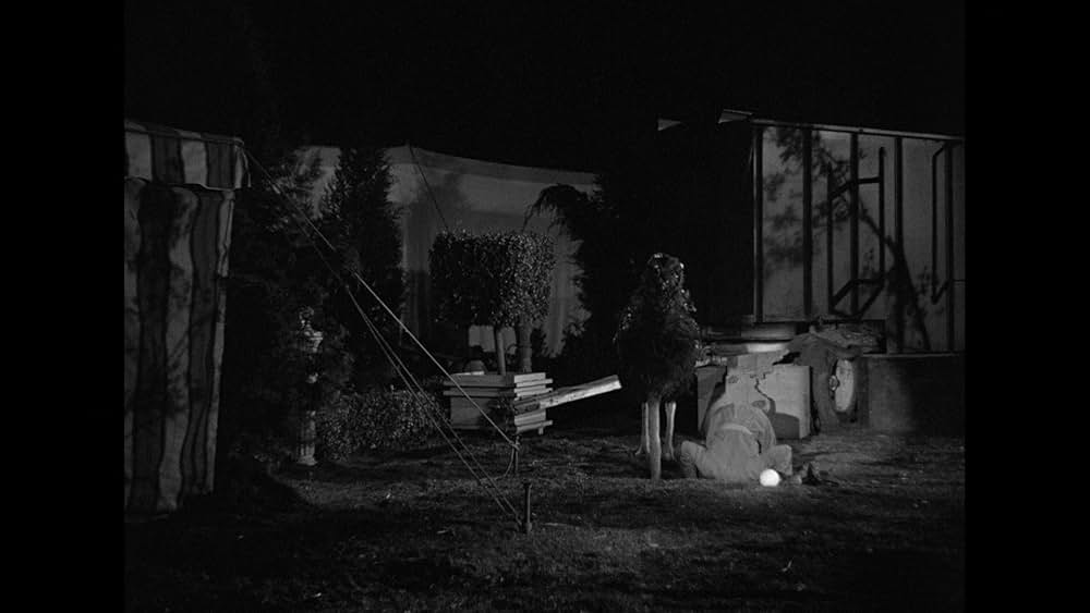 マルクス兄弟珍サーカスの画像