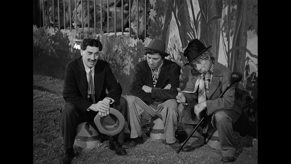 マルクス兄弟珍サーカスの画像