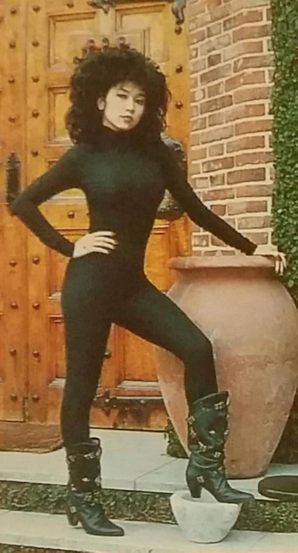 野獣女刑事の画像