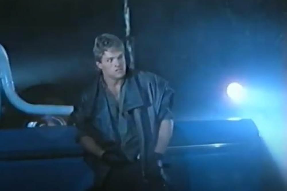 野獣女刑事の画像