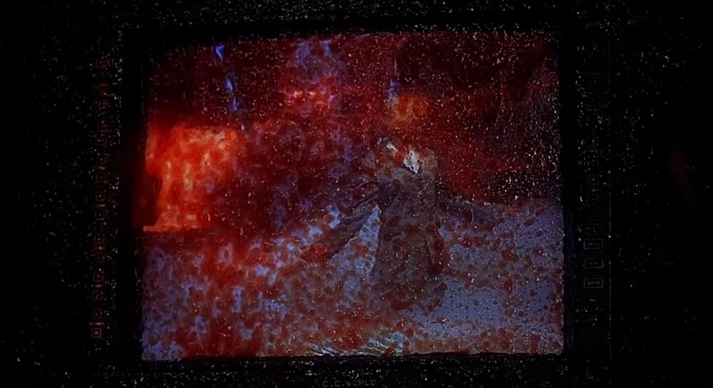 ボーデロ・オブ・ブラッド／血まみれの売春宿の画像