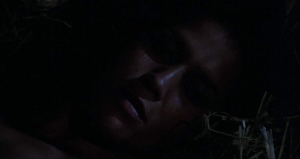 狼女の伝説の画像