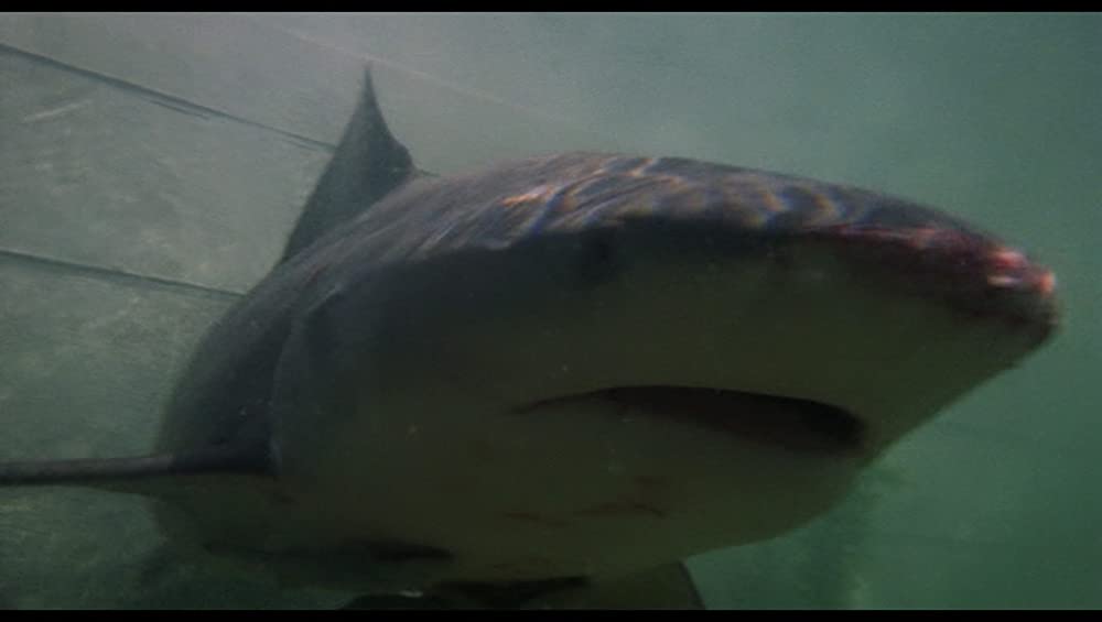 007／死ぬのは奴らだの画像