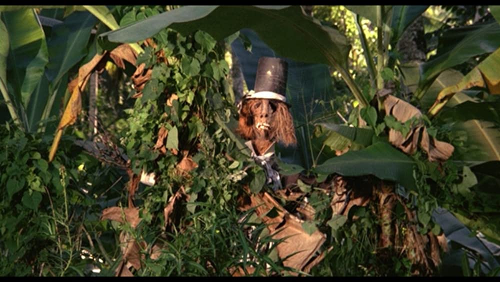 007／死ぬのは奴らだの画像