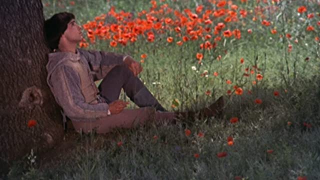 「ブラザー・サン シスター・ムーン」Graham Faulknerの画像