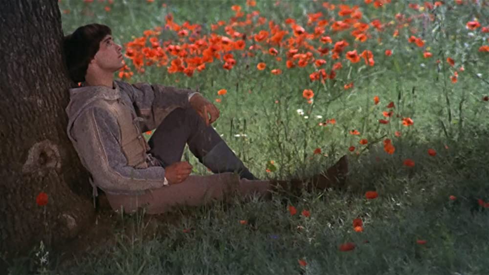 「ブラザー・サン シスター・ムーン」Graham Faulknerの画像