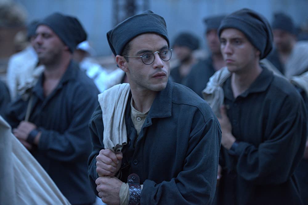 パピヨンの画像