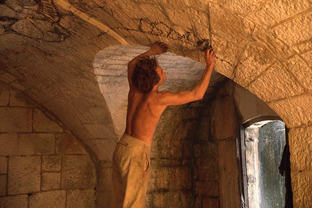 パピヨンの画像