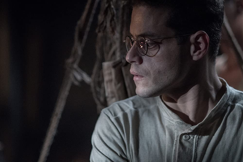 パピヨンの画像