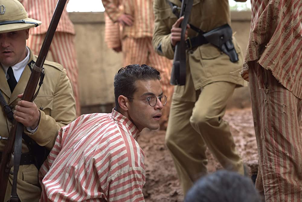 パピヨンの画像