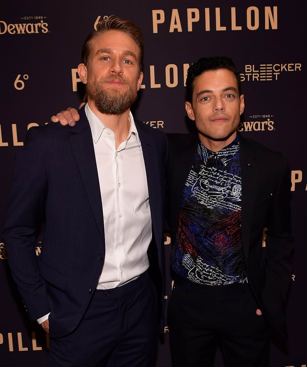 パピヨンの画像